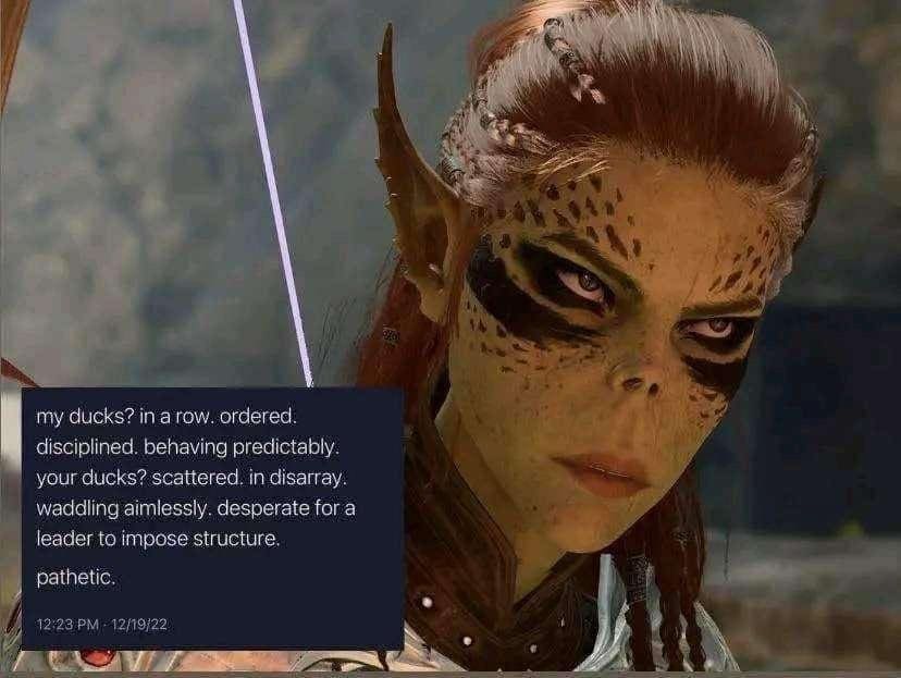 baldurs gate memes, sword coast