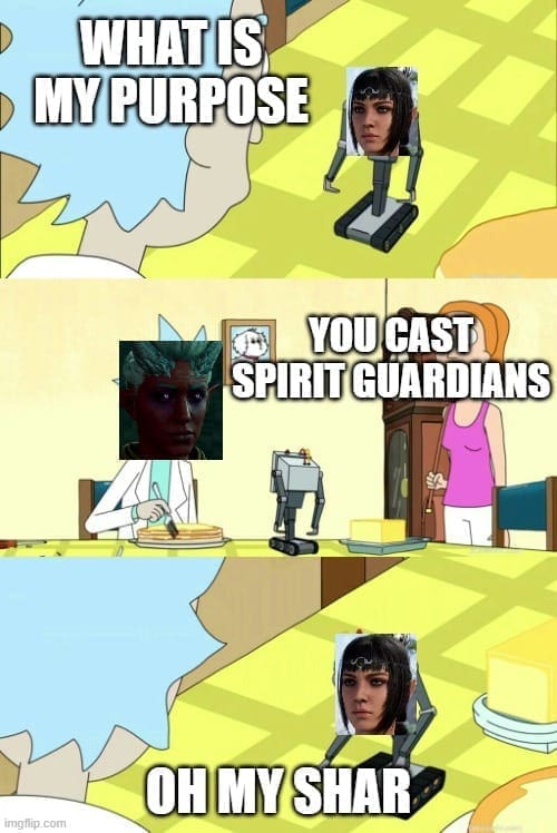 baldurs gate memes, sword coast