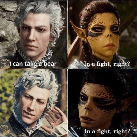 baldurs gate memes, sword coast
