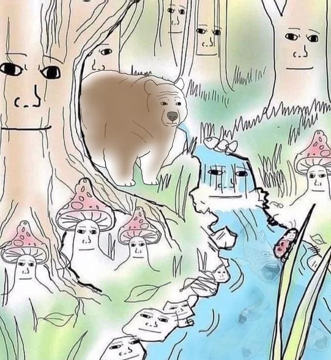 Bear memes 