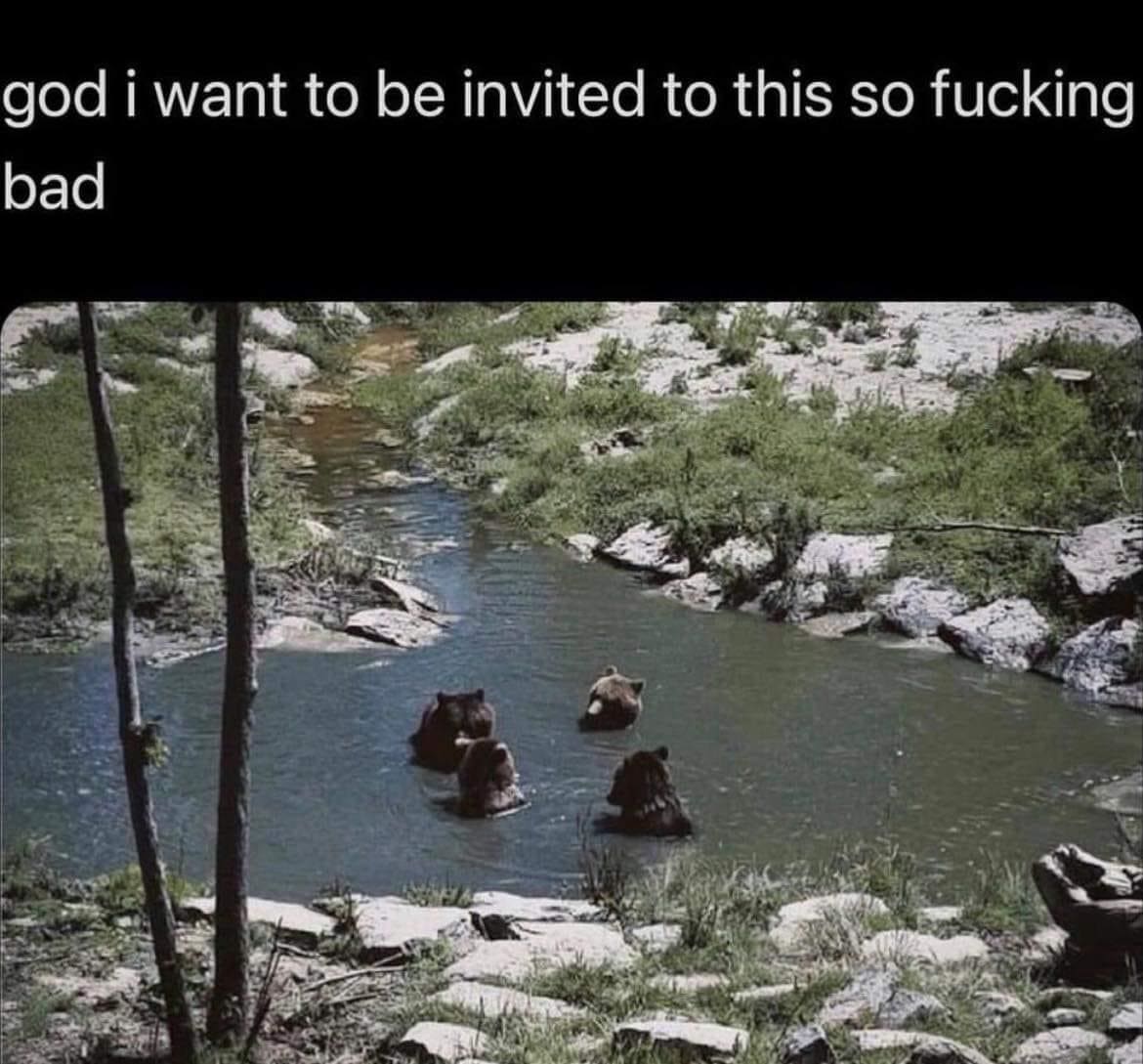 Bear memes god i want to be invited to this so fucking bad
