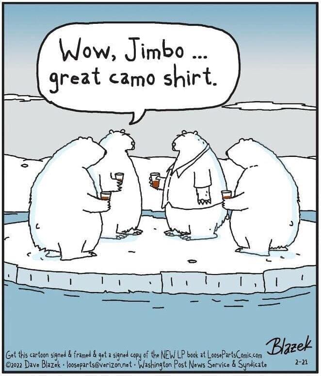 Bear memes Wow, Jimbo... great camo shirt.