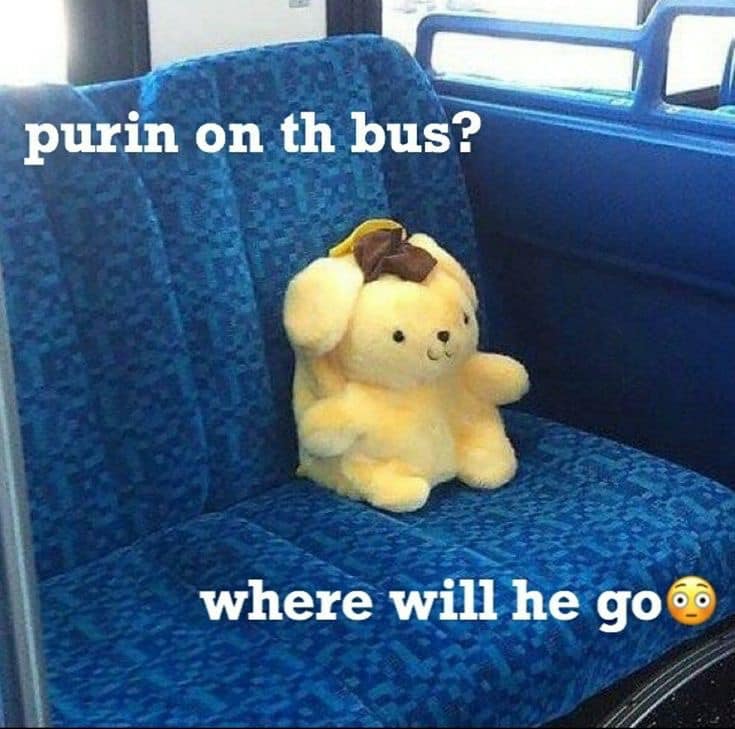 Bear memes purin on th bus? where will he goo