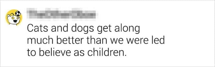 Best Shower Thoughts Cats and dogs get along much better than we were led to believe as children.