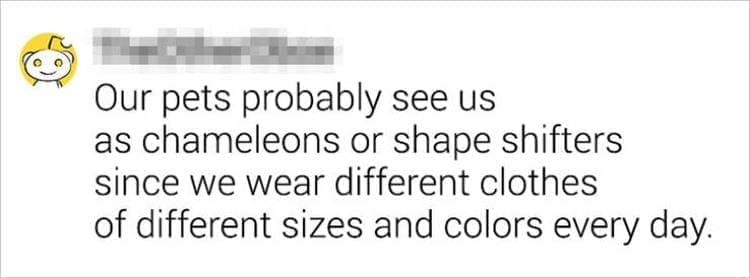 Best Shower Thoughts Our pets probably see us as chameleons or shape shifters since we wear different clothes of different sizes and colors every day.