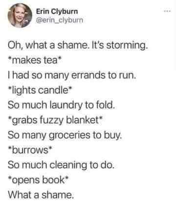 Bookworm memes Oh, what a shame. It's storming. *makes tea* Thad so many errands to run. *lights candle* So much laundry to fold. *grabs fuzzy blanket* So many groceries to buy. *burrows* So much cleaning to do. *opens book* What a shame.