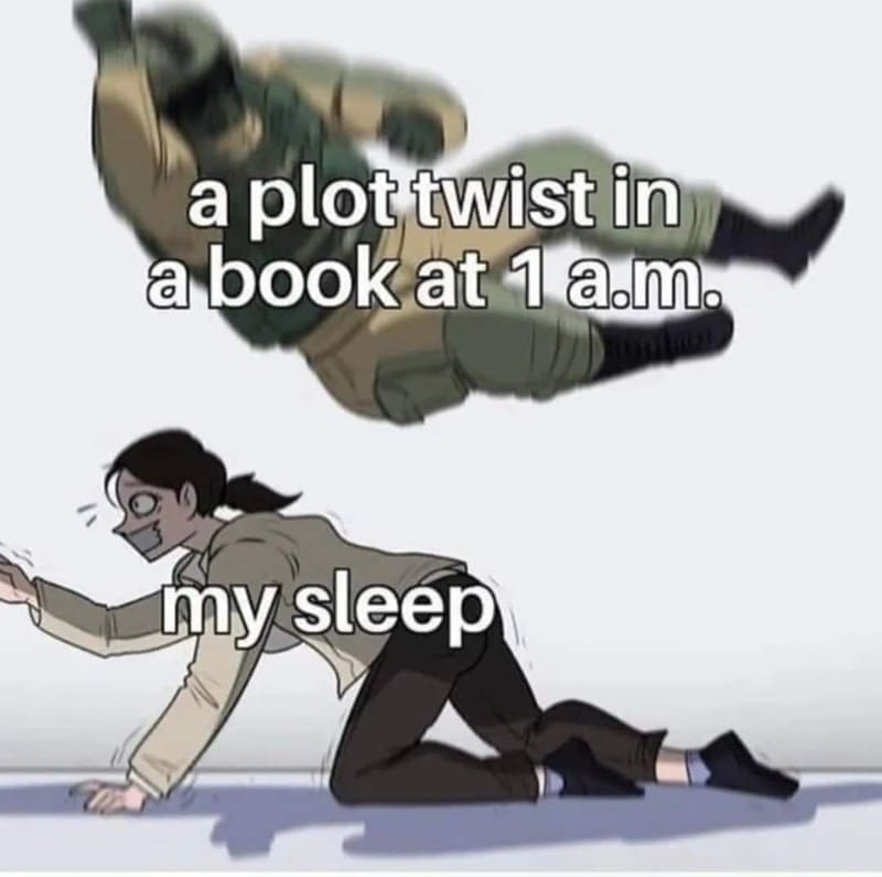 Bookworm memes a plot twist in a book at 1 a.m. my sleep