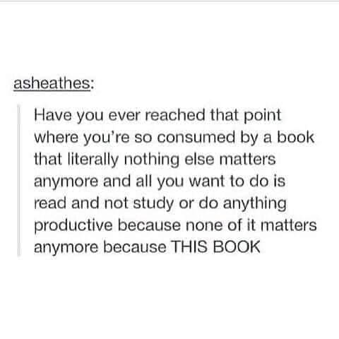 Bookworm memes Have you ever reached that point where you're so consumed by a book that literally nothing else matters anymore and all you want to do is read and not study or do anything productive because none of it matters anymore because THIS BOOK