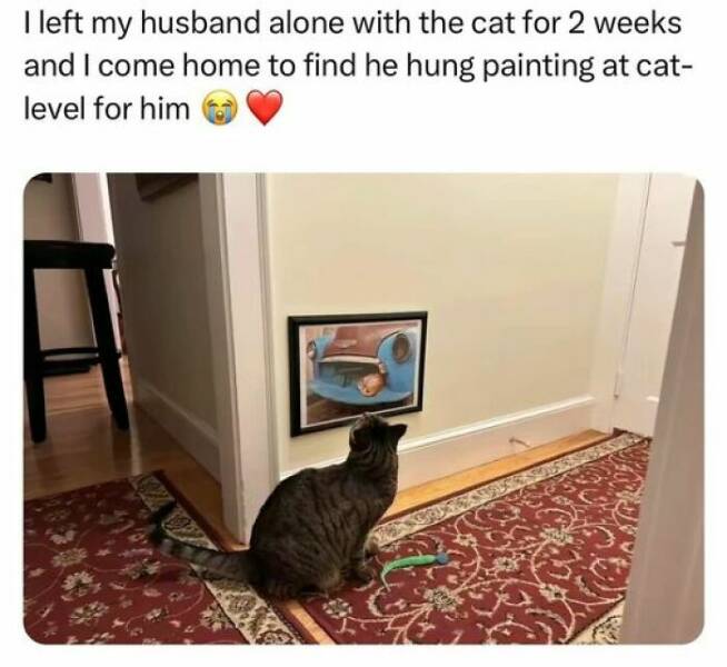 Cat Memes Ileft my husband alone with the cat for 2 weeks and I come home to find he hung painting at cat-level for him