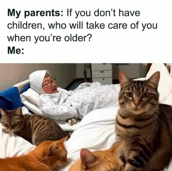 Cat Memes My parents: If you don't have children, who will take care of you when you're older? Me: