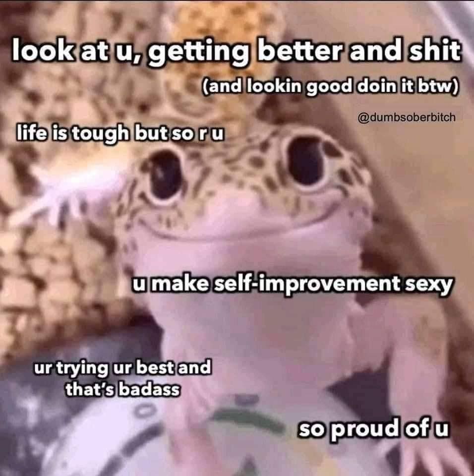 classic memes, vintage memes