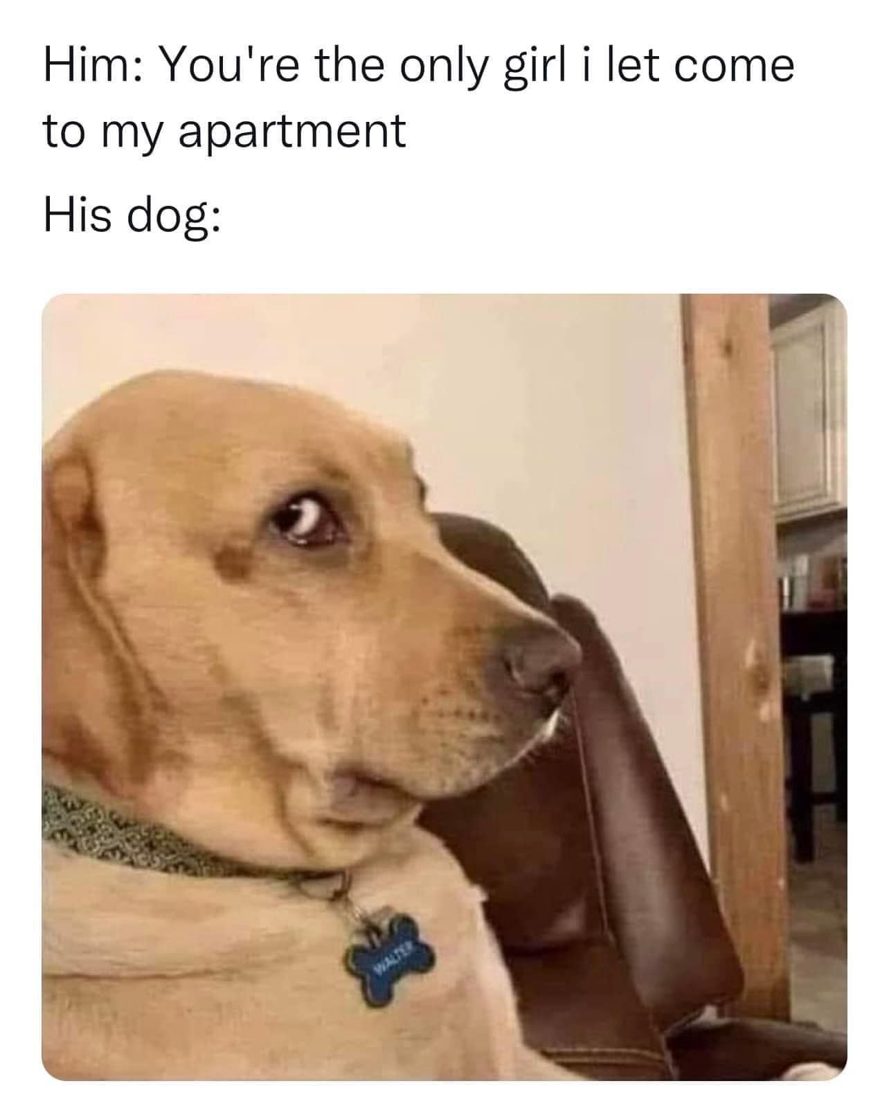 classic memes, vintage memes