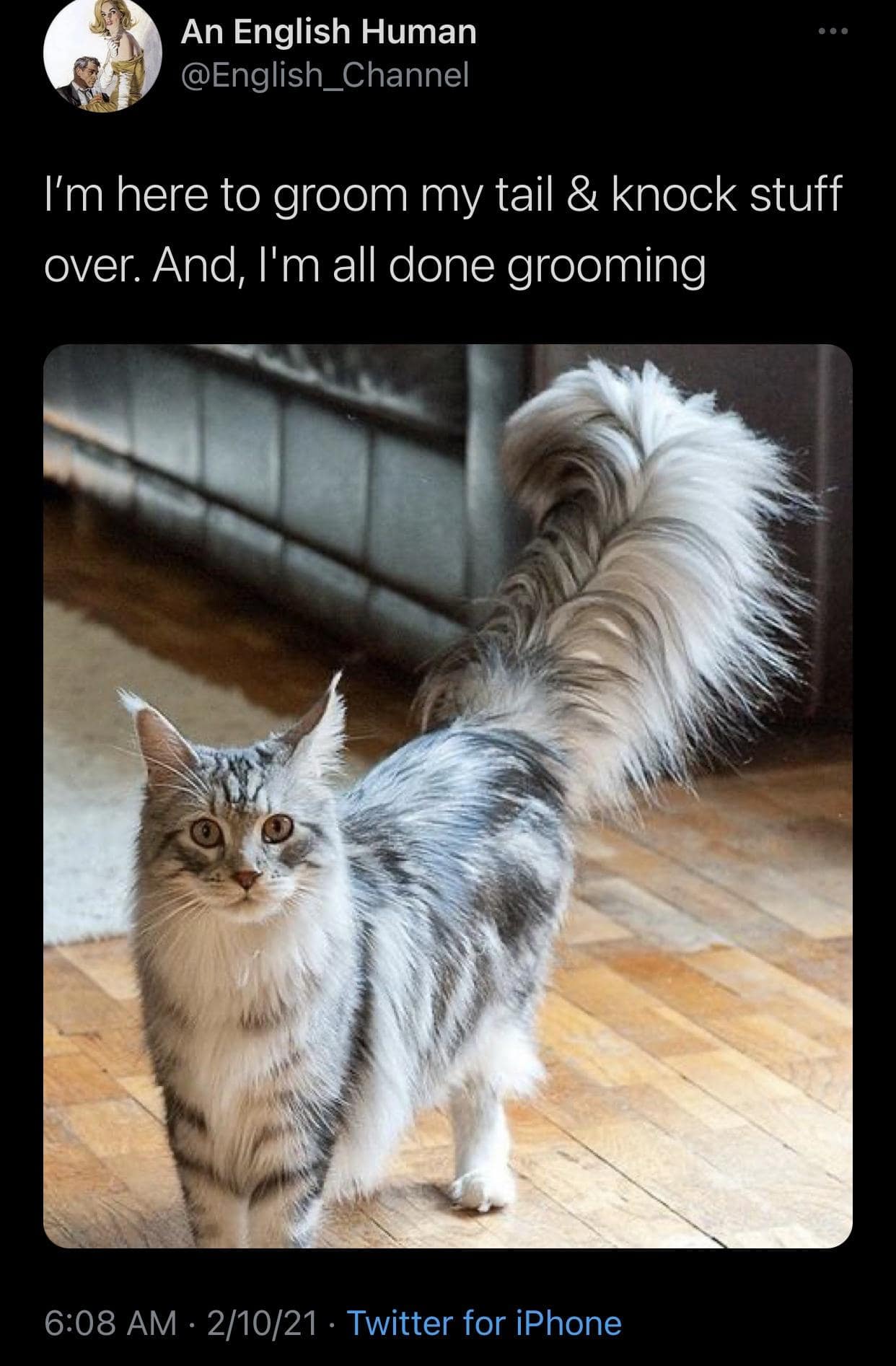 classic memes, vintage memes