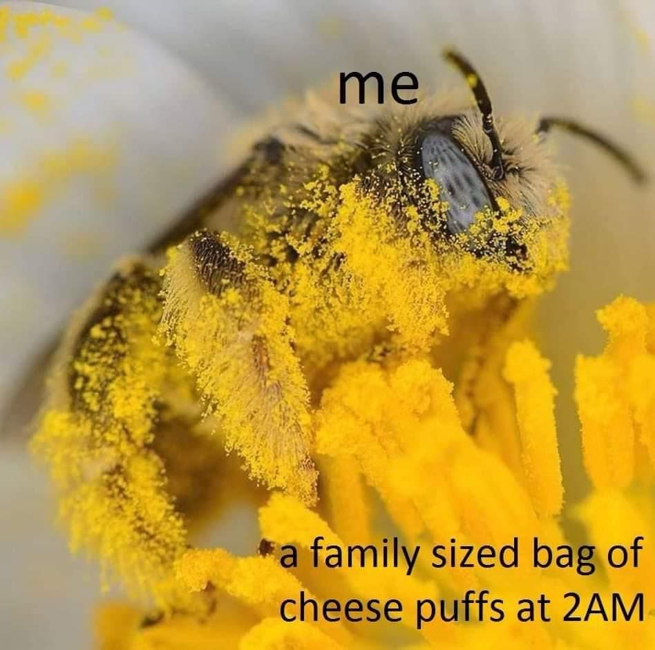 classic memes, vintage memes
