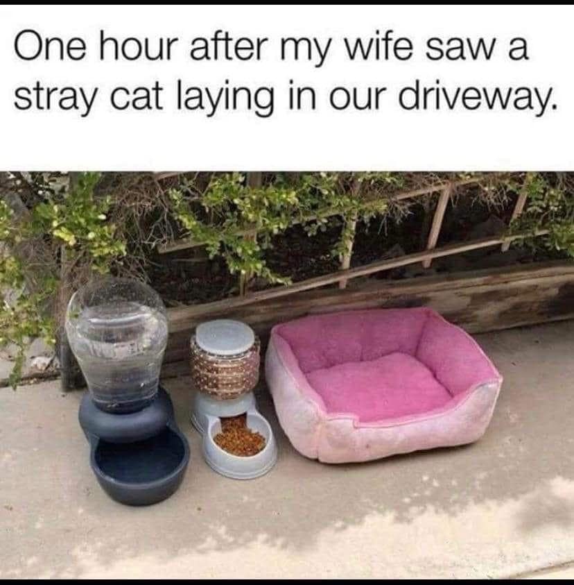 classic memes, vintage memes