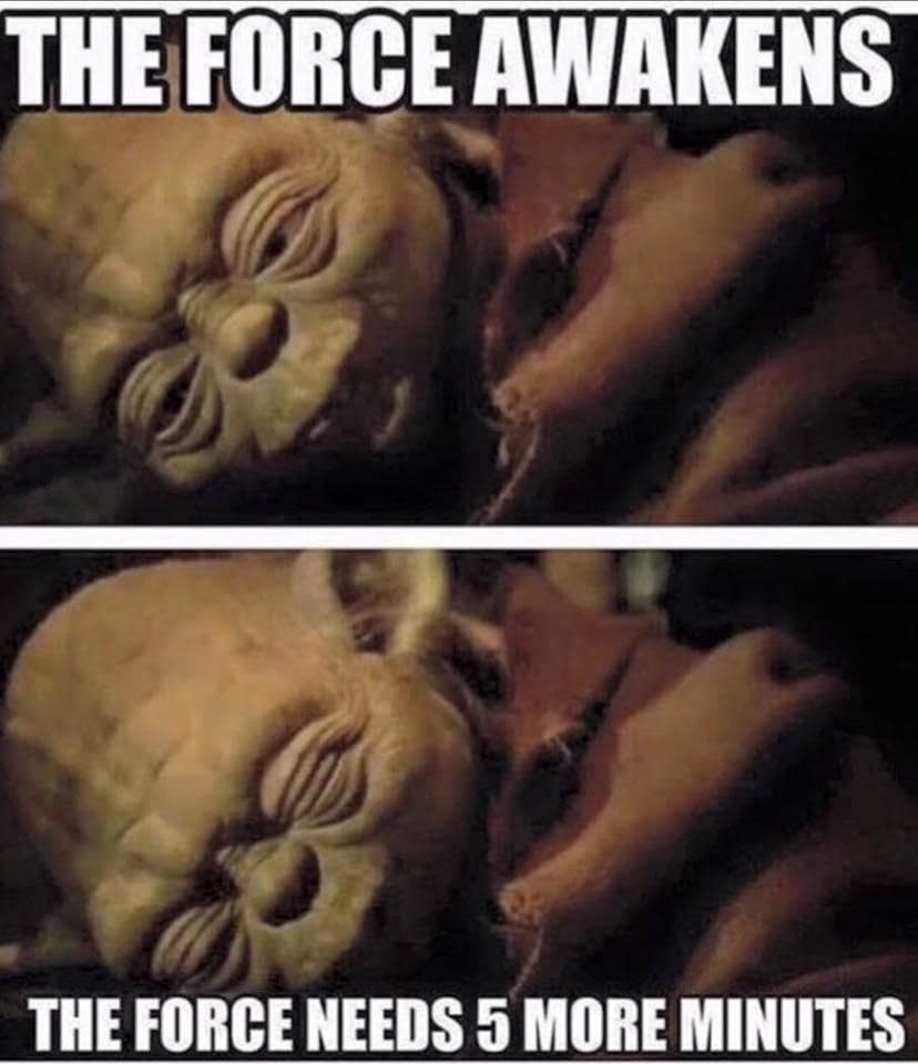 classic memes, internet humor