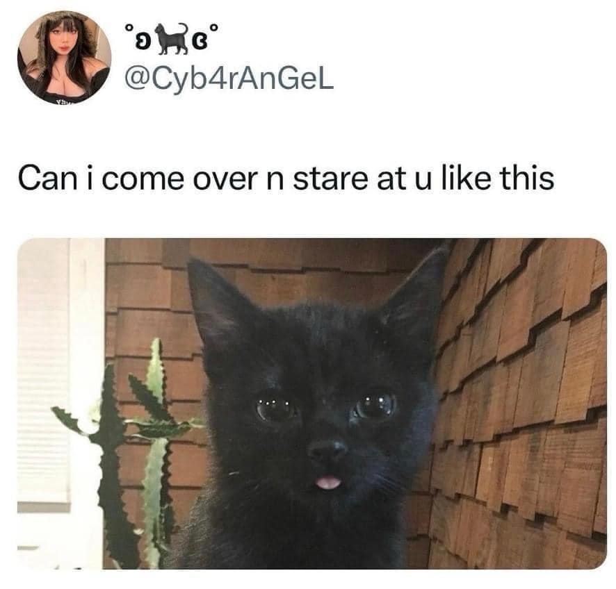 classic memes, vintage memes