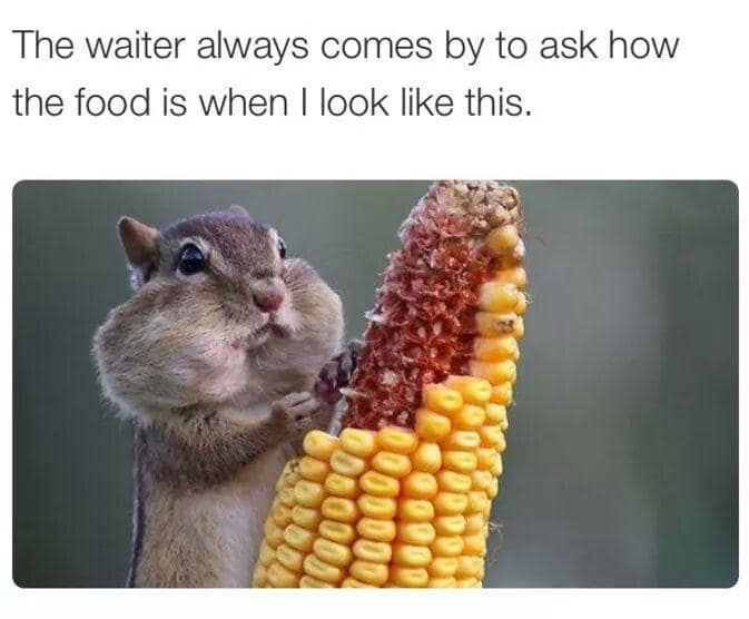 classic memes, vintage memes