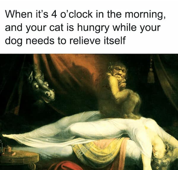 classical art memes, renaissance humor