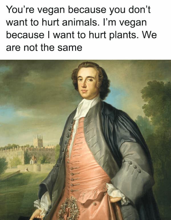 classical art memes, renaissance humor