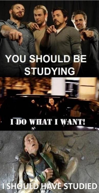 college memes YOU SHOULD BE STUDYING I DO WHAT I WANT! I SHOULD HAVE STUDIED