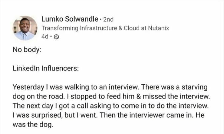 Consulting memes No body: Linkedin Influencers: Yesterday I was walking to an interview. There was a starving dog on the road. I stopped to feed him & missed the interview. The next day I got a call asking to come in to do the interview. I was surprised, but I went. Then the interviewer came in. He was the dog.