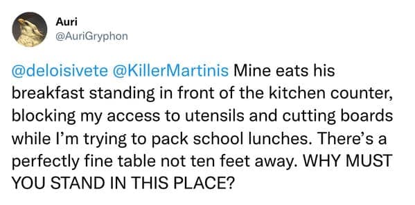 cooking memes, culinary comedy