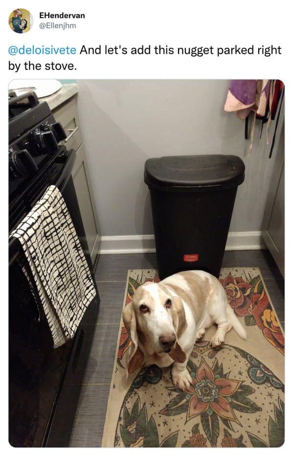 cooking memes, culinary comedy