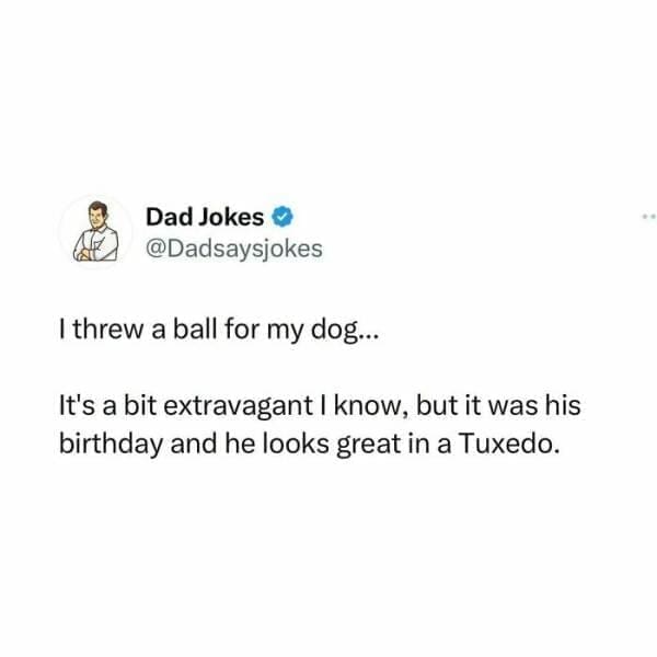 Corny Dad Jokes I threw a ball for my dog... It's a bit extravagant I know, but it was his birthday and he looks great in a Tuxedo.