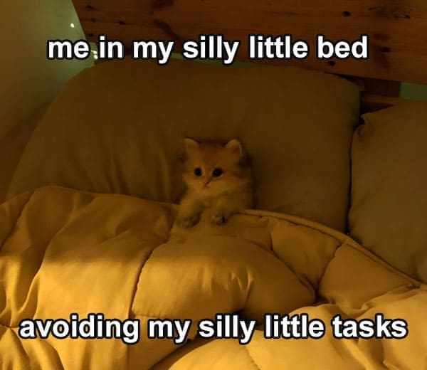 Dark Humor Memes me,in my silly little bed avoiding my silly little tasks