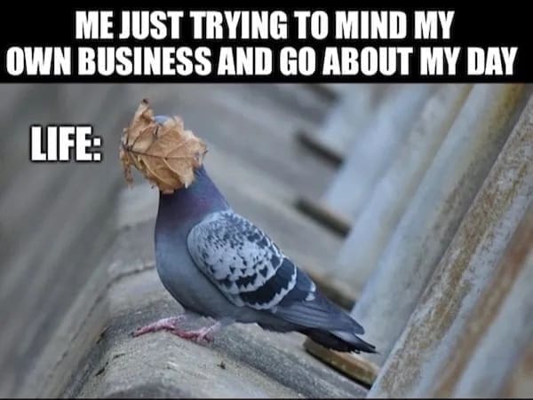 Dark Humor Memes ME JUST TRYING TO MIND MY OWN BUSINESS AND GO ABOUT MY DAY LIFE: