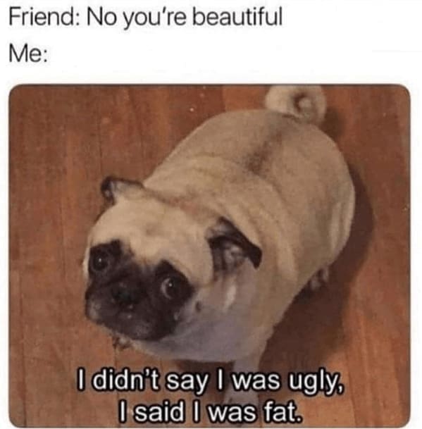 diet memes Friend: No you're beautiful Me: I didn't say I was ugly. I said I was fat.