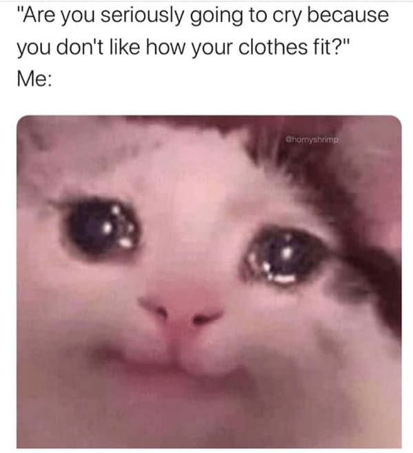 diet memes "Are you seriously going to cry because you don't like how your clothes fit?" Me: