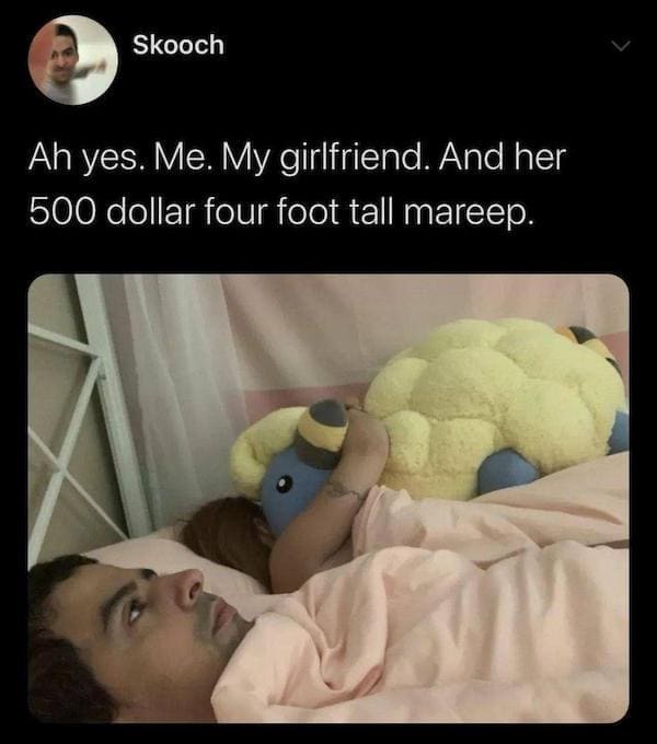 Dirty Relationship Memes Ah yes. Me. My girlfriend. And her 500 dollar four foot tall mareep.