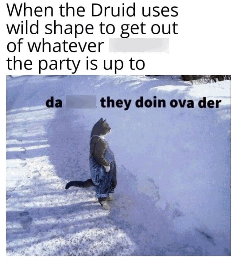 dnd memes, dungeon laughs