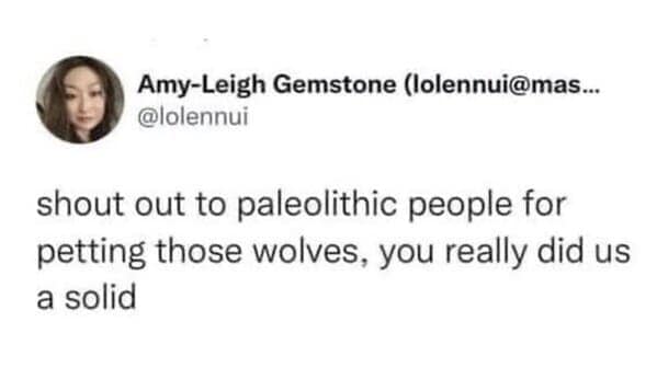 dog memes, funny dog jokes