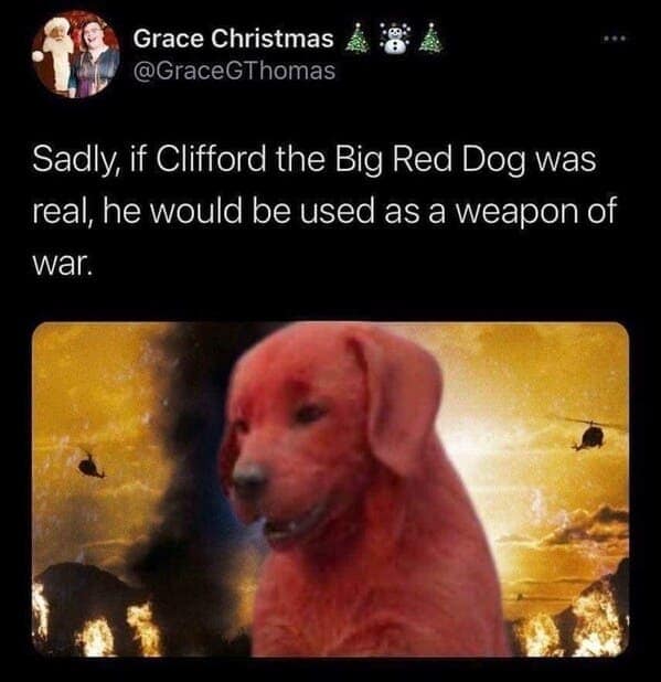 dog memes, funny dog jokes