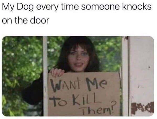 dog memes, funny dog jokes