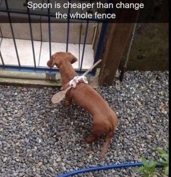 dog memes, funny dog jokes