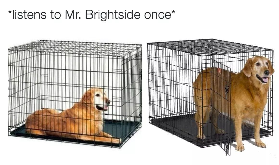 Emo memes *listens to Mr. Brightside once*