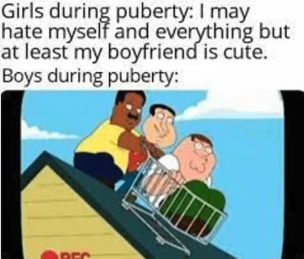 family guy memes Girls during puberty: I may hate myself and everything but at least my boyfriend is cute. Boys during puberty:
