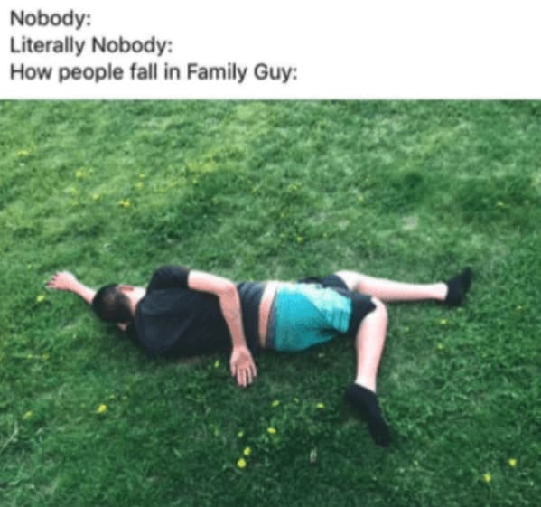 family guy memes Nobody: Literally Nobody: How people fall in Family Guy: