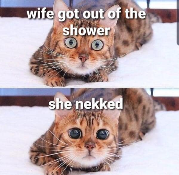 flirty memes, love memes