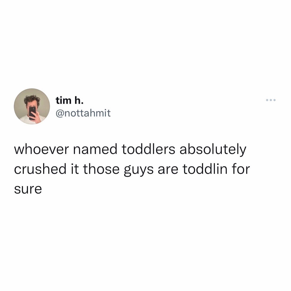 funny memes whoever named toddlers absolutely crushed it those guys are toddlin for sure