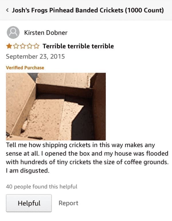 funny Amazon reviews Tell me how shipping crickets in this way makes any sense at all. I opened the box and my house was flooded with hundreds of tiny crickets the size of coffee grounds. I am disgusted.