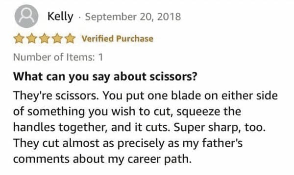funny Amazon reviews What can you say about scissors? They're scissors. You put one blade on either side of something you wish to cut, squeeze the handles together, and it cuts. Super sharp, too. They cut almost as precisely as my father's comments about my career path.