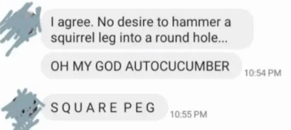 Funny autocorrect fails I agree. No desire to hammer a squirrel leg into a round hole... OH MY GOD AUTOCUCUMBER SQUARE PEG
