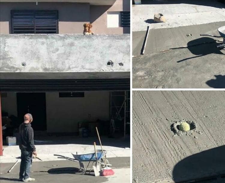 funny bad day memes, humor therapy