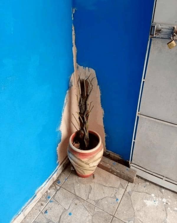 funny fails, glorious blunders