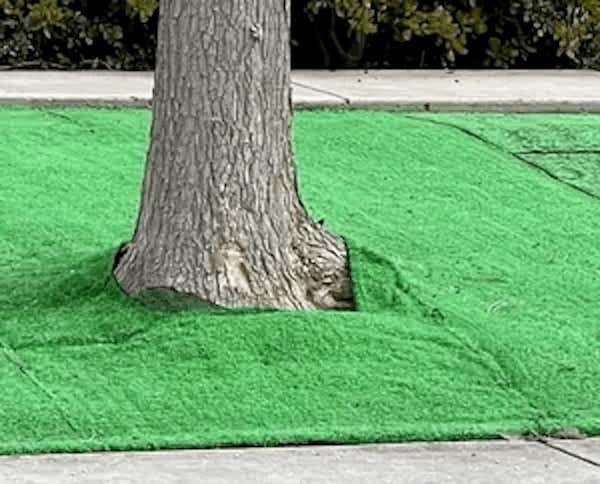 funny fails, glorious blunders